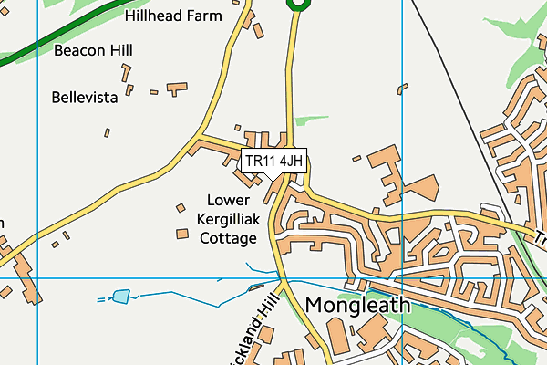 TR11 4JH map - OS VectorMap District (Ordnance Survey)