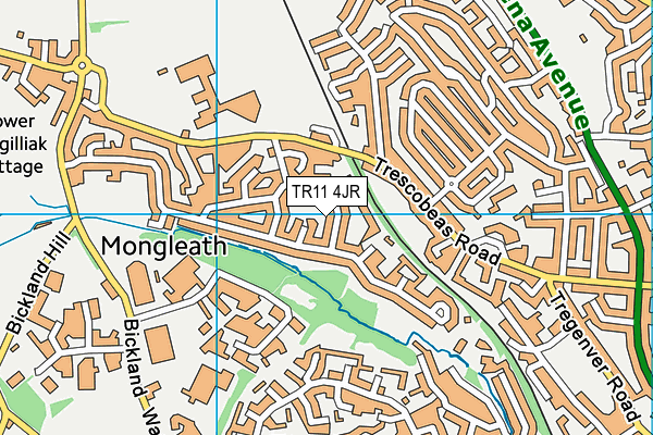 TR11 4JR map - OS VectorMap District (Ordnance Survey) TR11 4JR map - OS VectorMap District (Ordnance Survey)