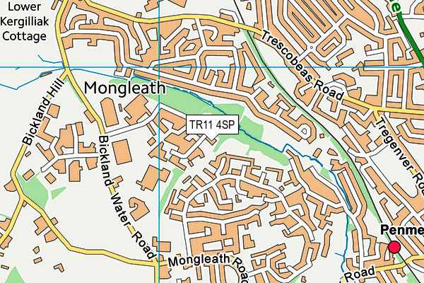 TR11 4SP map - OS VectorMap District (Ordnance Survey) TR11 4SP map - OS VectorMap District (Ordnance Survey)