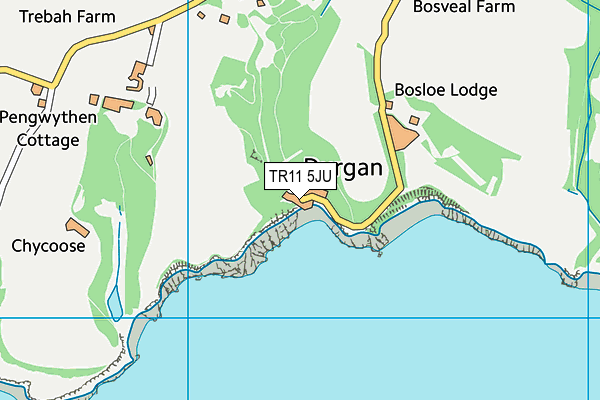 TR11 5JU map - OS VectorMap District (Ordnance Survey) TR11 5JU map - OS VectorMap District (Ordnance Survey)