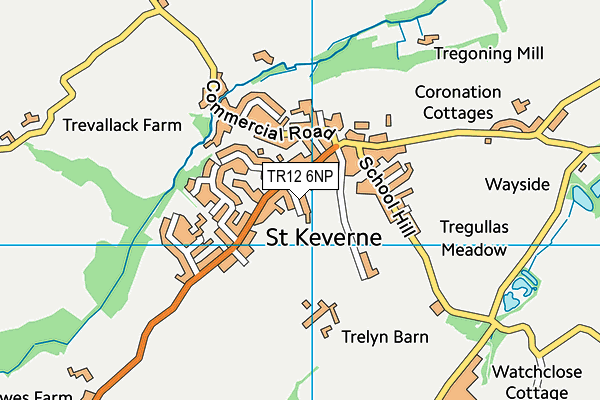 TR12 6NP map - OS VectorMap District (Ordnance Survey) TR12 6NP map - OS VectorMap District (Ordnance Survey)