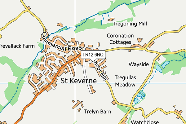 TR12 6NQ map - OS VectorMap District (Ordnance Survey)