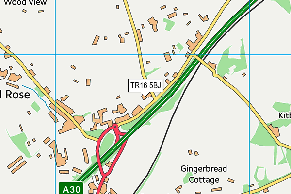 TR16 5BJ map - OS VectorMap District (Ordnance Survey) TR16 5BJ map - OS VectorMap District (Ordnance Survey)