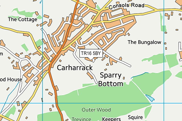 TR16 5BY map - OS VectorMap District (Ordnance Survey) TR16 5BY map - OS VectorMap District (Ordnance Survey)