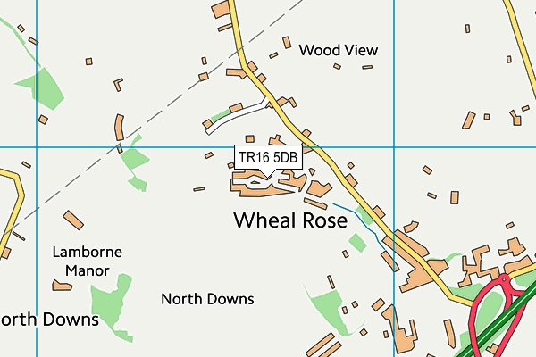 TR16 5DB map - OS VectorMap District (Ordnance Survey) TR16 5DB map - OS VectorMap District (Ordnance Survey)