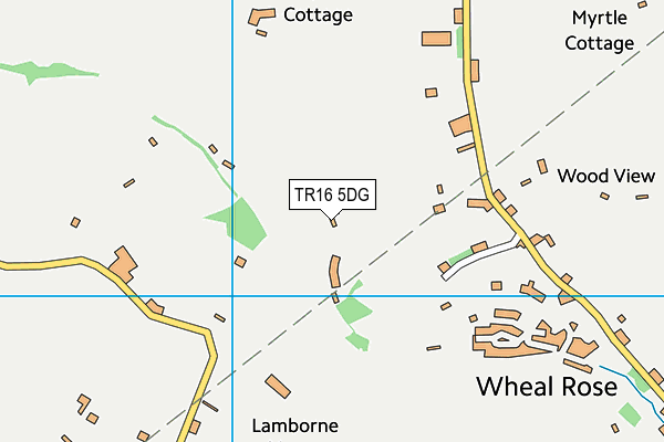 TR16 5DG map - OS VectorMap District (Ordnance Survey) TR16 5DG map - OS VectorMap District (Ordnance Survey)