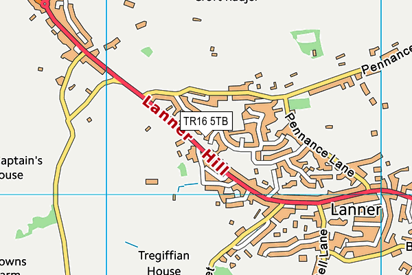TR16 5TB map - OS VectorMap District (Ordnance Survey) TR16 5TB map - OS VectorMap District (Ordnance Survey)