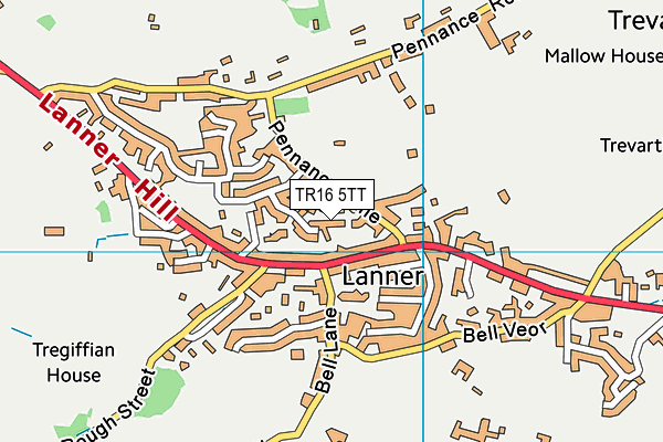 TR16 5TT map - OS VectorMap District (Ordnance Survey) TR16 5TT map - OS VectorMap District (Ordnance Survey)