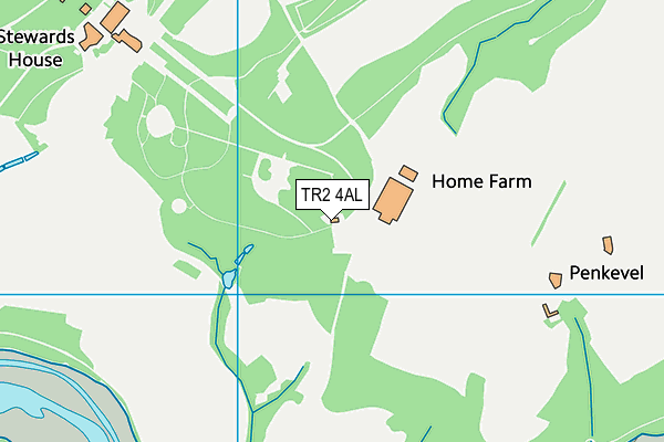 TR2 4AL map - OS VectorMap District (Ordnance Survey) TR2 4AL map - OS VectorMap District (Ordnance Survey)