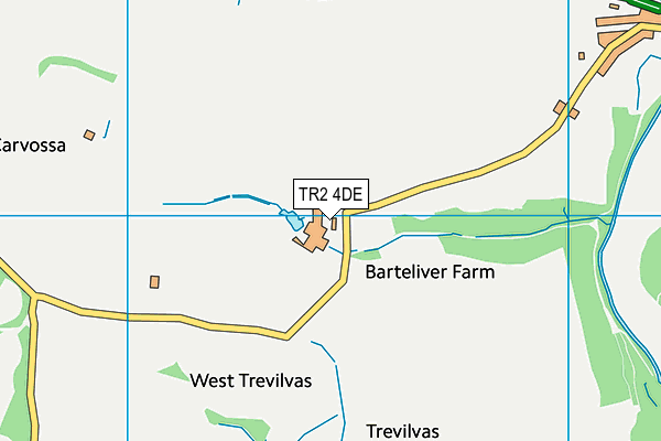 TR2 4DE map - OS VectorMap District (Ordnance Survey) TR2 4DE map - OS VectorMap District (Ordnance Survey)