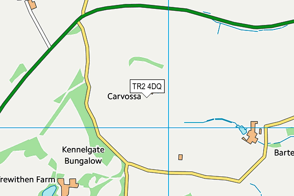 TR2 4DQ map - OS VectorMap District (Ordnance Survey) TR2 4DQ map - OS VectorMap District (Ordnance Survey)