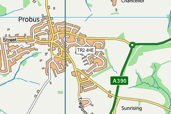 TR2 4HE map - OS VectorMap District (Ordnance Survey) TR2 4HE map - OS VectorMap District (Ordnance Survey)
