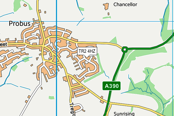 TR2 4HZ map - OS VectorMap District (Ordnance Survey) TR2 4HZ map - OS VectorMap District (Ordnance Survey)