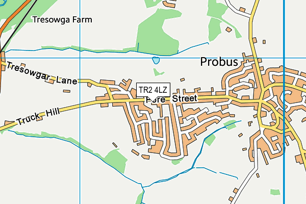 TR2 4LZ map - OS VectorMap District (Ordnance Survey) TR2 4LZ map - OS VectorMap District (Ordnance Survey)