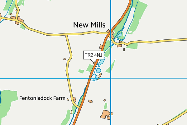 TR2 4NJ map - OS VectorMap District (Ordnance Survey) TR2 4NJ map - OS VectorMap District (Ordnance Survey)