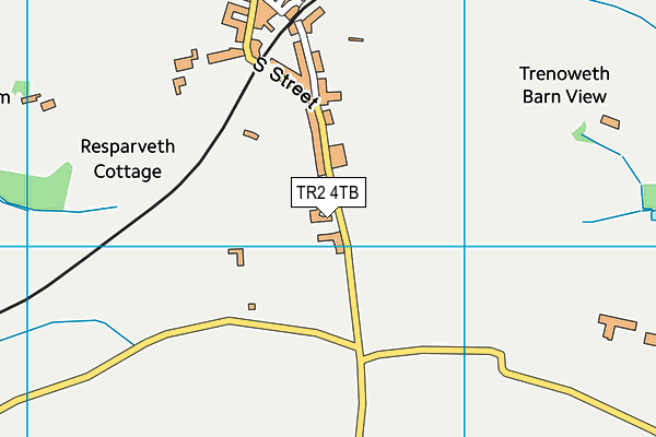 TR2 4TB map - OS VectorMap District (Ordnance Survey) TR2 4TB map - OS VectorMap District (Ordnance Survey)