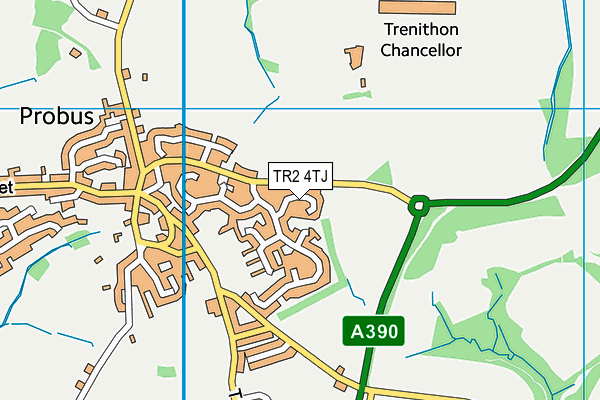TR2 4TJ map - OS VectorMap District (Ordnance Survey) TR2 4TJ map - OS VectorMap District (Ordnance Survey)