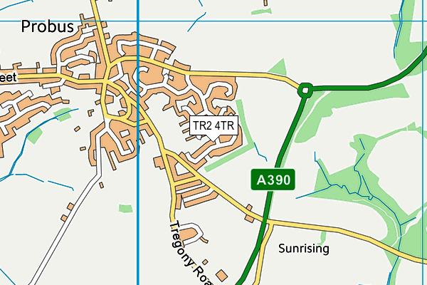 TR2 4TR map - OS VectorMap District (Ordnance Survey) TR2 4TR map - OS VectorMap District (Ordnance Survey)
