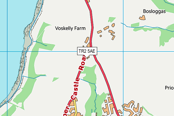 TR2 5AE map - OS VectorMap District (Ordnance Survey) TR2 5AE map - OS VectorMap District (Ordnance Survey)