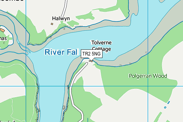 TR2 5NG map - OS VectorMap District (Ordnance Survey) TR2 5NG map - OS VectorMap District (Ordnance Survey)