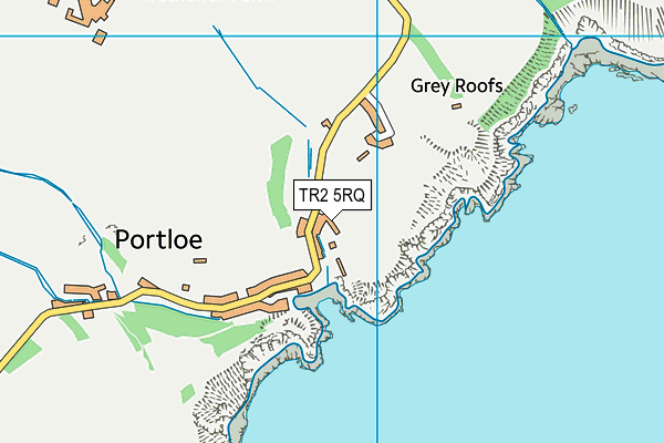 TR2 5RQ map - OS VectorMap District (Ordnance Survey) TR2 5RQ map - OS VectorMap District (Ordnance Survey)