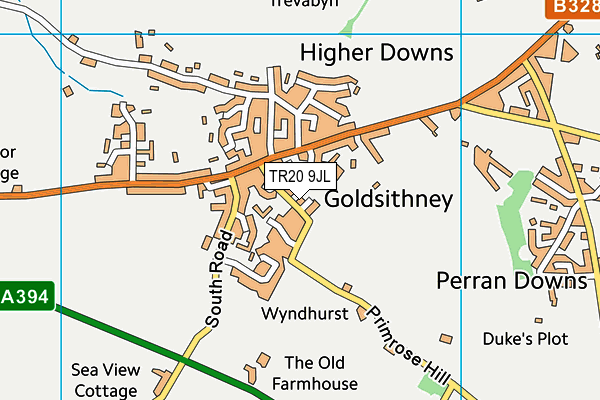 TR20 9JL map - OS VectorMap District (Ordnance Survey) TR20 9JL map - OS VectorMap District (Ordnance Survey)