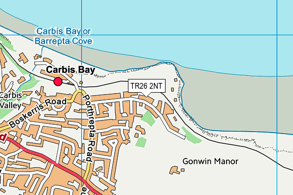 TR26 2NT map - OS VectorMap District (Ordnance Survey) TR26 2NT map - OS VectorMap District (Ordnance Survey)