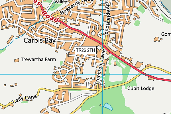 TR26 2TH map - OS VectorMap District (Ordnance Survey) TR26 2TH map - OS VectorMap District (Ordnance Survey)