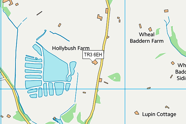 TR3 6EH map - OS VectorMap District (Ordnance Survey) TR3 6EH map - OS VectorMap District (Ordnance Survey)