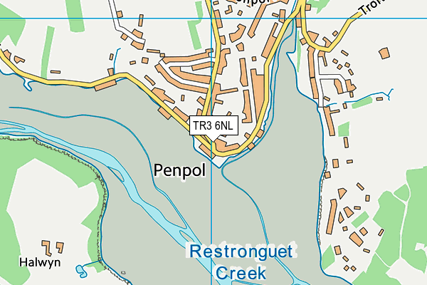 TR3 6NL map - OS VectorMap District (Ordnance Survey) TR3 6NL map - OS VectorMap District (Ordnance Survey)