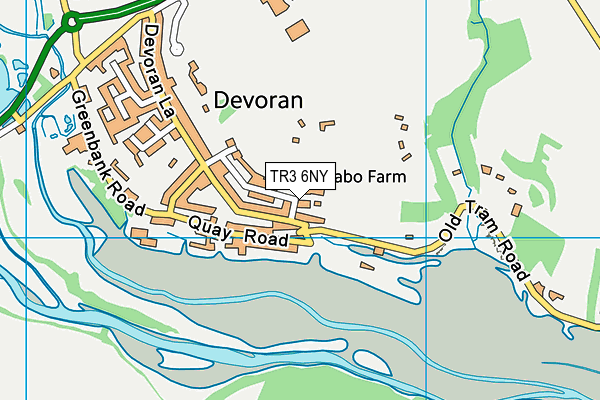 TR3 6NY map - OS VectorMap District (Ordnance Survey) TR3 6NY map - OS VectorMap District (Ordnance Survey)