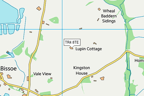 TR4 8TE map - OS VectorMap District (Ordnance Survey) TR4 8TE map - OS VectorMap District (Ordnance Survey)