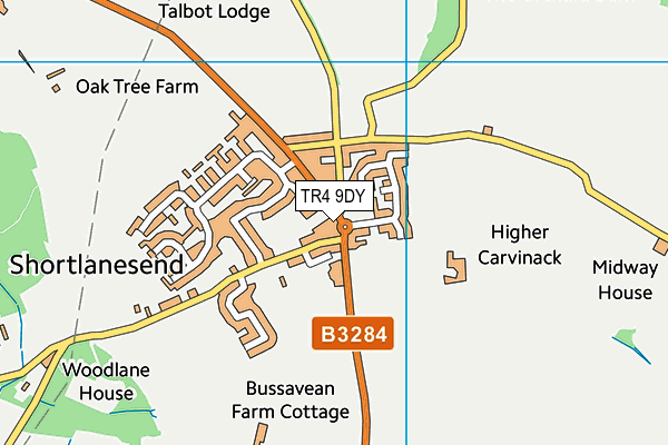 TR4 9DY map - OS VectorMap District (Ordnance Survey) TR4 9DY map - OS VectorMap District (Ordnance Survey)