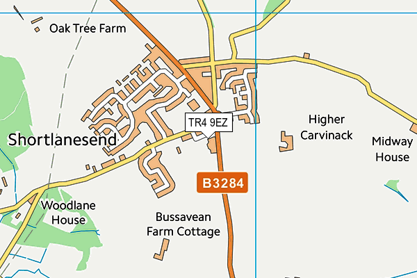 TR4 9EZ map - OS VectorMap District (Ordnance Survey) TR4 9EZ map - OS VectorMap District (Ordnance Survey)