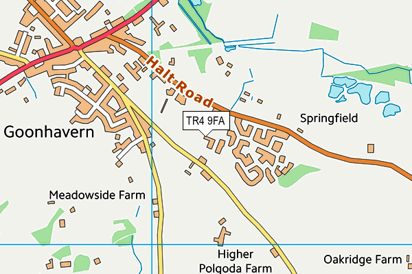 TR4 9FA map - OS VectorMap District (Ordnance Survey) TR4 9FA map - OS VectorMap District (Ordnance Survey)