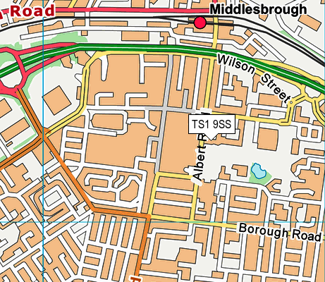 TS1 9SS map - OS VectorMap District (Ordnance Survey) TS1 9SS map - OS VectorMap District (Ordnance Survey)