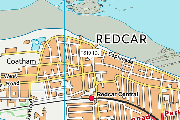 TS10 1DJ map - OS VectorMap District (Ordnance Survey)