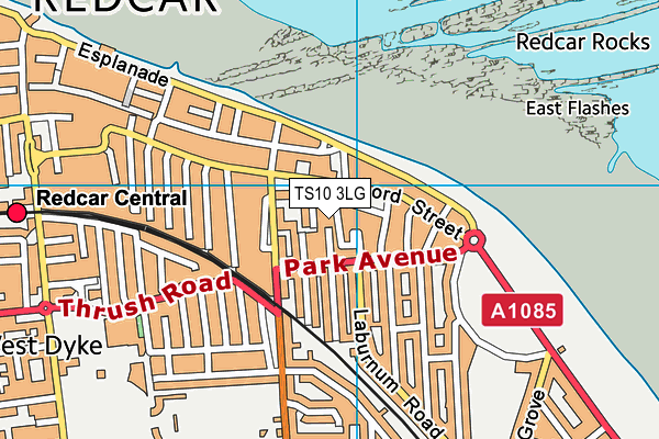 TS10 3LG map - OS VectorMap District (Ordnance Survey) TS10 3LG map - OS VectorMap District (Ordnance Survey)