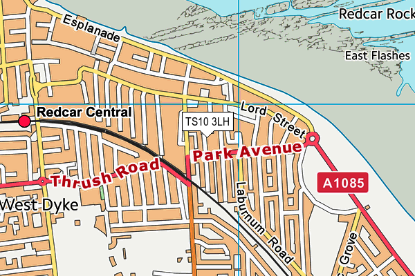 TS10 3LH map - OS VectorMap District (Ordnance Survey)