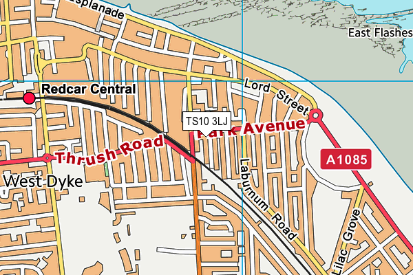 TS10 3LJ map - OS VectorMap District (Ordnance Survey) TS10 3LJ map - OS VectorMap District (Ordnance Survey)