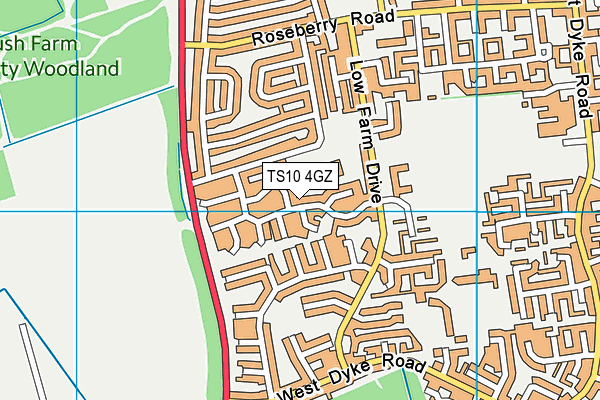 TS10 4GZ map - OS VectorMap District (Ordnance Survey) TS10 4GZ map - OS VectorMap District (Ordnance Survey)