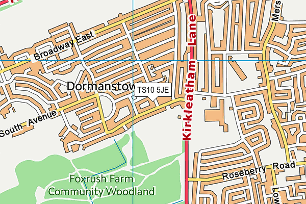TS10 5JE map - OS VectorMap District (Ordnance Survey)