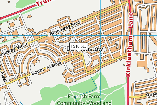 TS10 5LJ map - OS VectorMap District (Ordnance Survey) TS10 5LJ map - OS VectorMap District (Ordnance Survey)