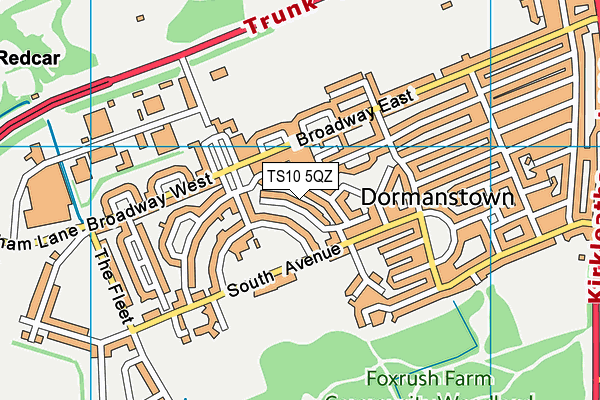 TS10 5QZ map - OS VectorMap District (Ordnance Survey)