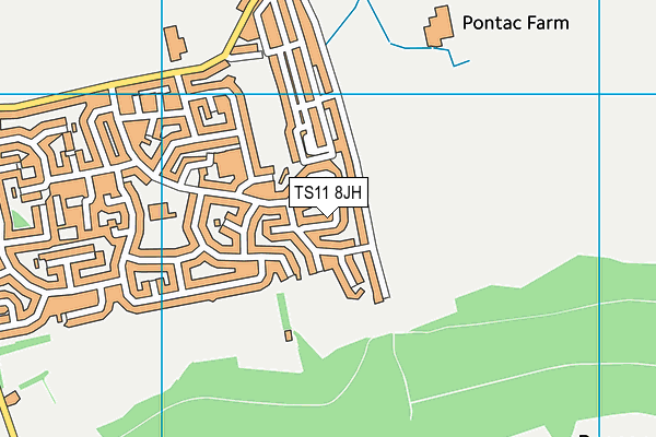 TS11 8JH map - OS VectorMap District (Ordnance Survey) TS11 8JH map - OS VectorMap District (Ordnance Survey)
