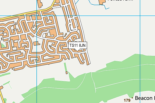 TS11 8JN map - OS VectorMap District (Ordnance Survey) TS11 8JN map - OS VectorMap District (Ordnance Survey)