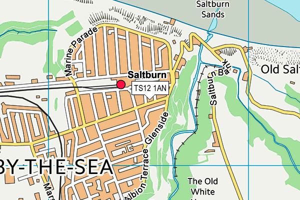 TS12 1AN map - OS VectorMap District (Ordnance Survey) TS12 1AN map - OS VectorMap District (Ordnance Survey)