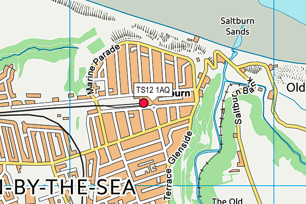 TS12 1AQ map - OS VectorMap District (Ordnance Survey) TS12 1AQ map - OS VectorMap District (Ordnance Survey)