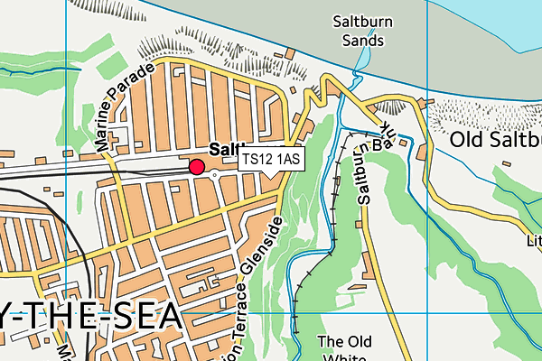 TS12 1AS map - OS VectorMap District (Ordnance Survey) TS12 1AS map - OS VectorMap District (Ordnance Survey)