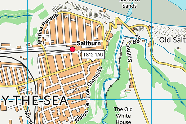 TS12 1AU map - OS VectorMap District (Ordnance Survey) TS12 1AU map - OS VectorMap District (Ordnance Survey)